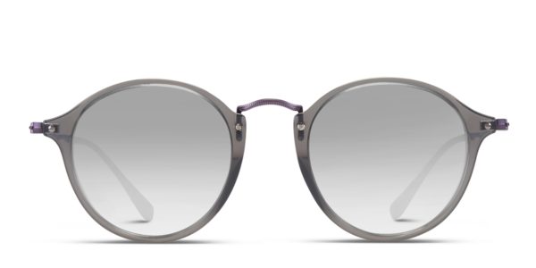 Ray-Ban 2447N Gray