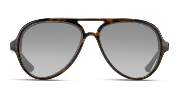 Ray-Ban 4125 Cats 5000 Tortoise