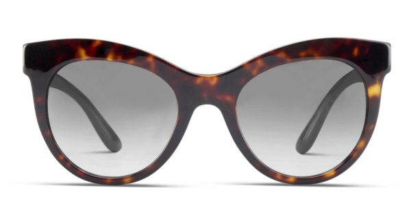 Dolce & Gabbana DG4311 Tortoise