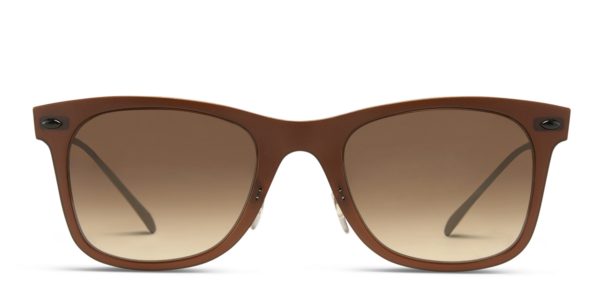 Ray-Ban 4210 Brown