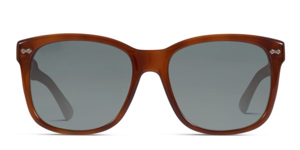 Gucci GG0050S Brown