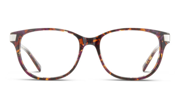 Vancouver Purple Tortoise