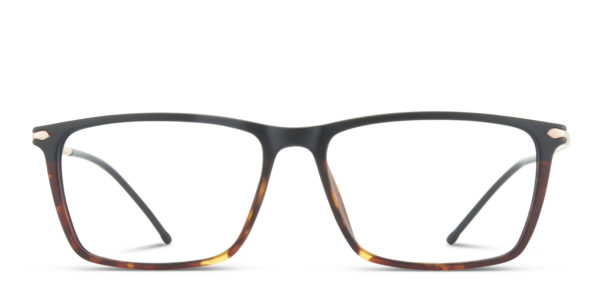 Elaine Black w/Tortoise