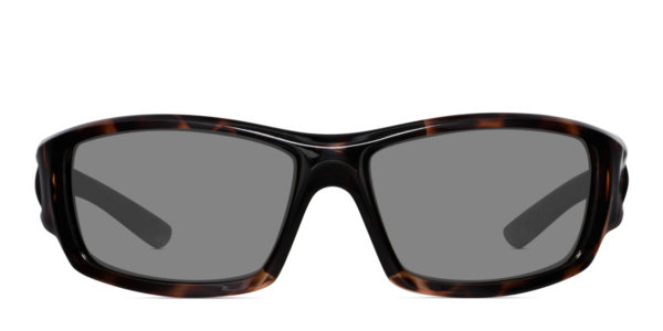 Eyres Titanic Tortoise