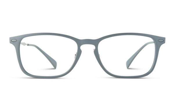 Ray-Ban 8953 Gray