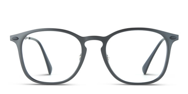 Ray-Ban 8954 Gray