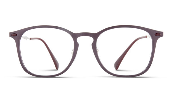 Ray-Ban 8954 Bordeaux
