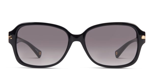 Coach HC8105 Amber Black