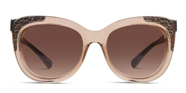 Coach HC8171 Brown w/Tortoise