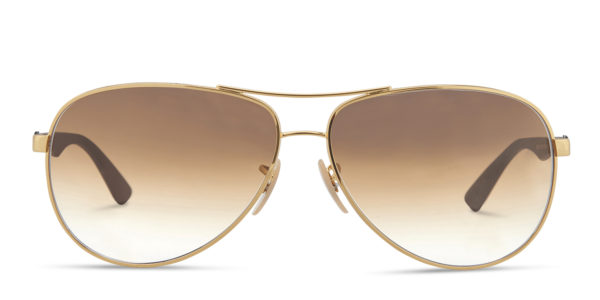 Ray-Ban 8313 Gold