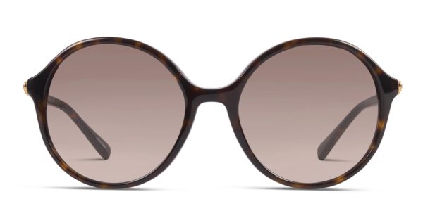 Coach HC8188B Tortoise