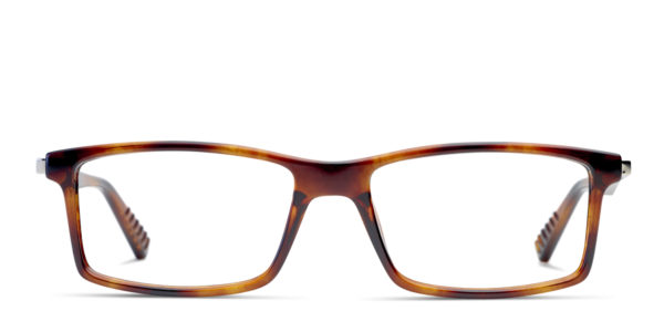 Muse Beadle Tortoise